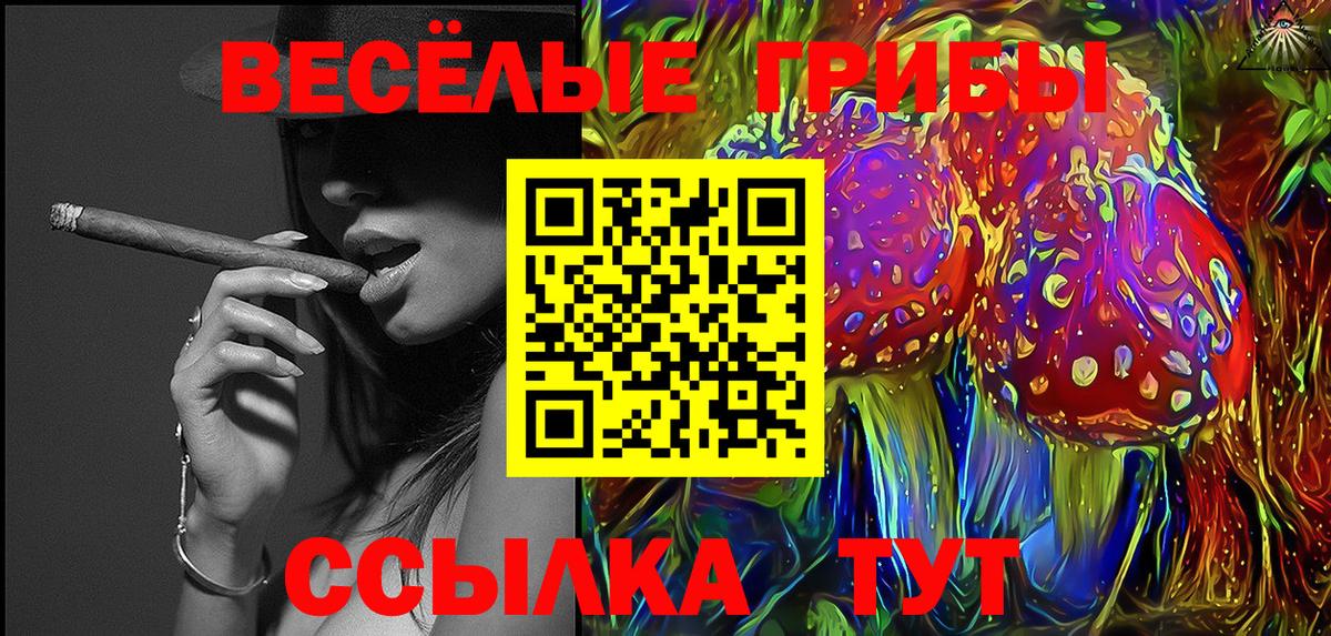 Псилоцибиновые грибы MAGIC MUSHROOMS  Псилоцибиновые грибы Psilocybe  сколько стоит  Вход с VPN  Фролово 